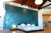 Ficus 3